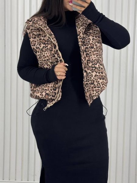 پافر پلنگی (2)